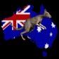 animated kangaroo